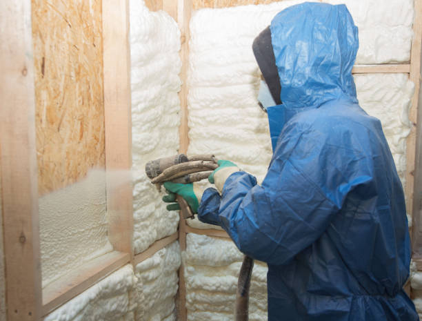 Types of Insulation We Offer in Zephyrhills North, FL